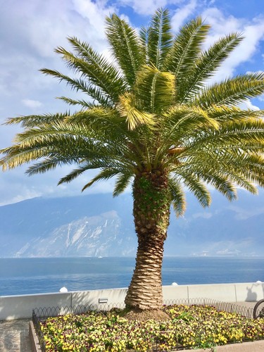 Tage reise gardasee 112 - tage,